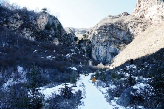 能吞能吐的森林阅读答案森林涵养水源,保持水