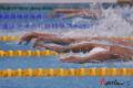 图文-菲尔普斯100米蝶泳夺第7金 就是赢这只手