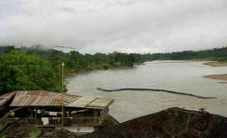 马来西亚河流现不明物疑似30米长巨蛇(图)