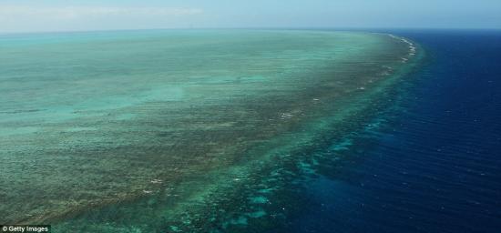 球气候变暖将在短短20年时间内让大堡礁这一世界遗产荡然无存 全球气候变暖将致澳大利亚大堡礁20年后消失