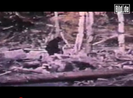 ��˵�е���������Ź֡� 