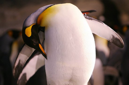 梳妆打扮 梳妆打扮