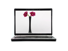 ���� ���� A550-T66 D1