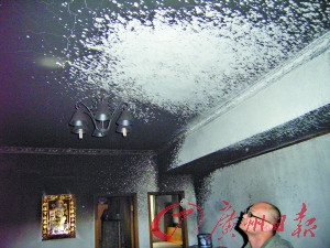 现场一片混乱 现场一片混乱