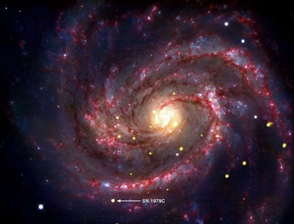 超新星SN 1979C的位置