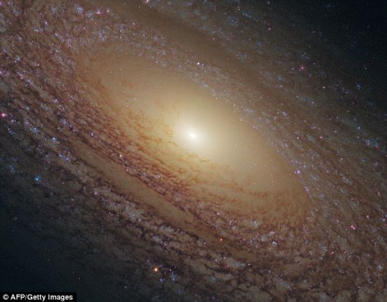 螺旋星系NGC 2841。一个巨大的尘埃带盘内散布着大量恒星，所环绕的明亮星光尖角便是这个星系的中心。