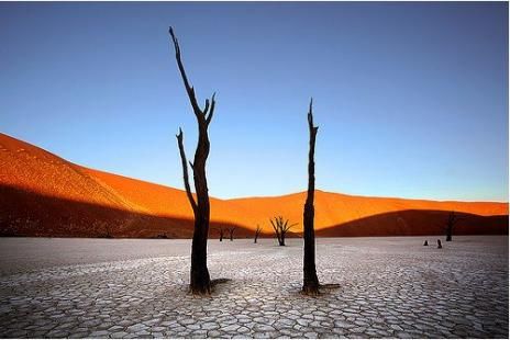 探秘非洲死亡谷900年古树墓地:极度干旱无生机