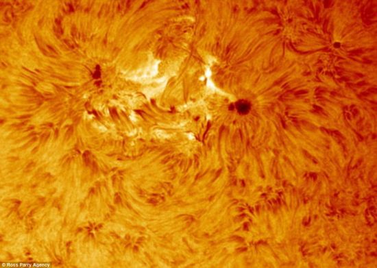 英国天文爱好者拍摄壮观太阳特写