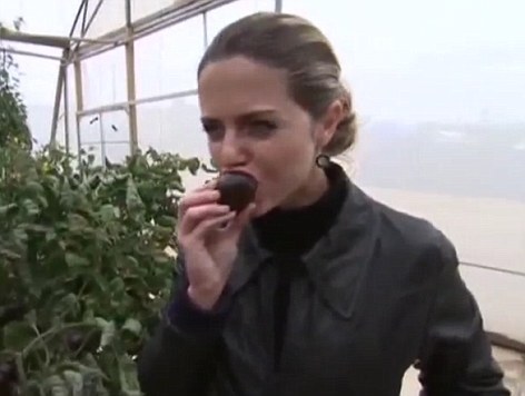 以色列培育怪异西红柿:黑色表皮营养价值更高