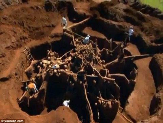 巴西发现巨大地下蚂蚁王国 错综复杂似迷宫(图)