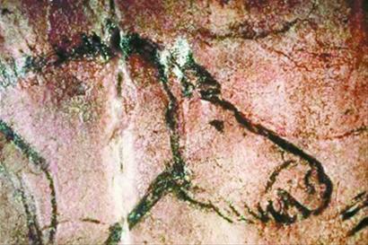 基因研究发现现在的马源于14万年前古马