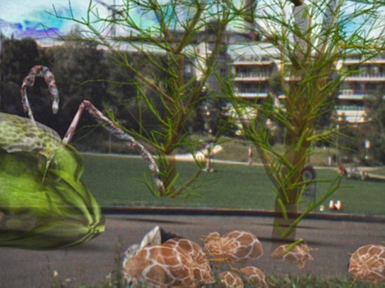 在虚拟世界中，形象取自现实世界的昆虫和其它虫子也会出现