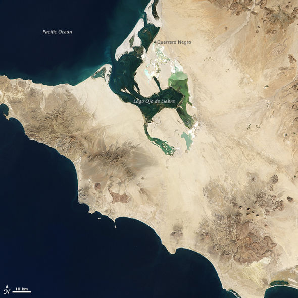 每日卫星照：墨西哥巨大盐矿颜色鲜艳(图)