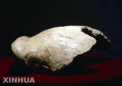 南非专家称北京人头盖骨埋藏地或将很快开挖