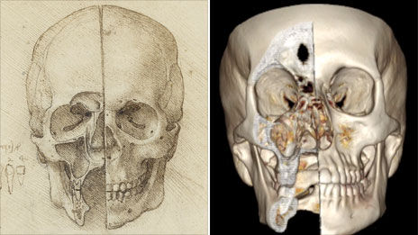 达芬奇绘制的头骨素描图与数字成像技术获取的头骨图像对比