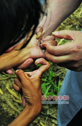 野人<em>兄妹</em>隐居深山20余年几失语_科学探索_科