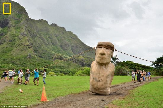 夏威夷，3组志愿者拉动复活节岛巨石像复制品，让巨石像发生摇摆，一点点向前挪动