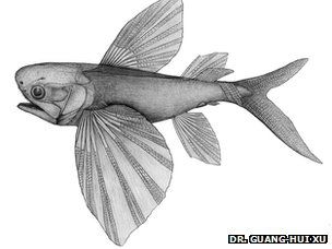 Potanichthys xingyiensisܡ