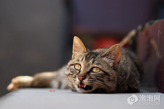 ���ְ�˹E-M5��75/1.8 | ISO200 | -0.7EV | f/2 | 1/800s