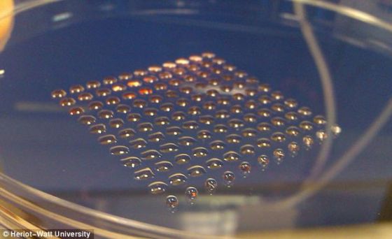 这项3D打印技术可制造胚胎干细胞。