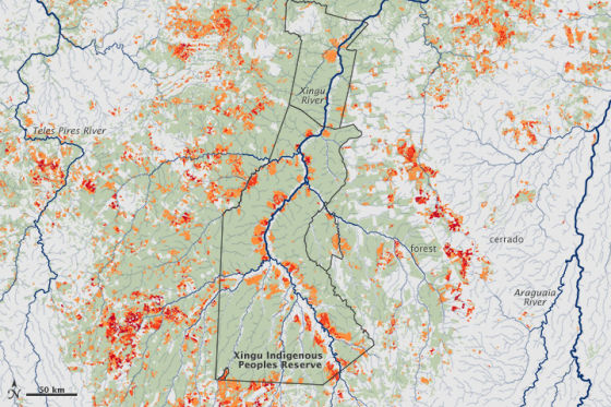 每日卫星照:亚马逊热带雨林火灾|亚马逊|卫星|热