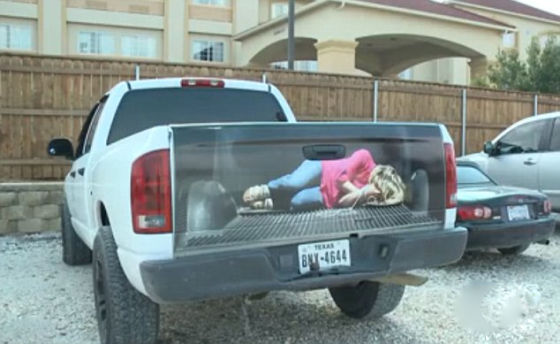 每日环球趣闻:鳄鱼晒日光浴遭独眼豹偷袭|鳄鱼