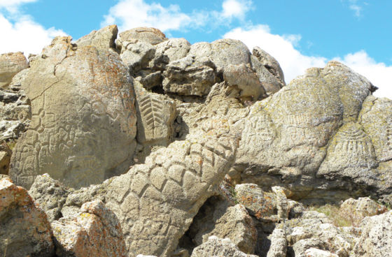北美洲最古老的岩刻画
