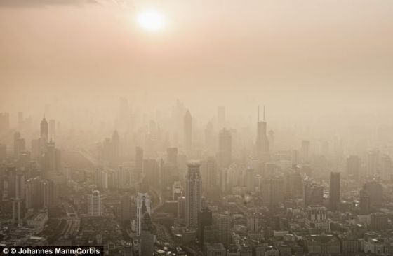 2012年全球有八分之一的死亡病例与污染有关，这使空气污染成为全球可预防的死亡的最主要致死原因。该图显示的是上海上空的雾霾
