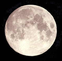 һоʾڲһҺ