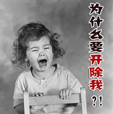 ��Ա��������������