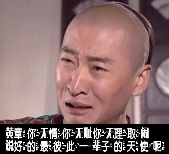 你无情无耻无理取闹!