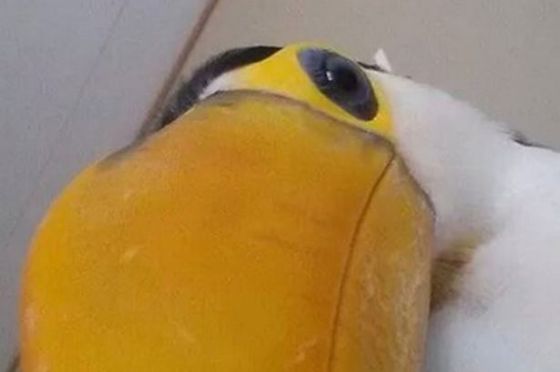 Ϭ
