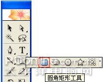 IllustratorƾѲ廭