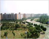 ���Ա�ɫ����˧��ֱ���ֻ�P709����(4)
