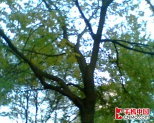与特工同行CECT蓝牙手表手机W100评测(6)