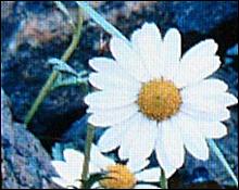 ʧiAUDIOU3