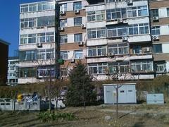�������߶��մ�C�������ֻ�E806c����(6)