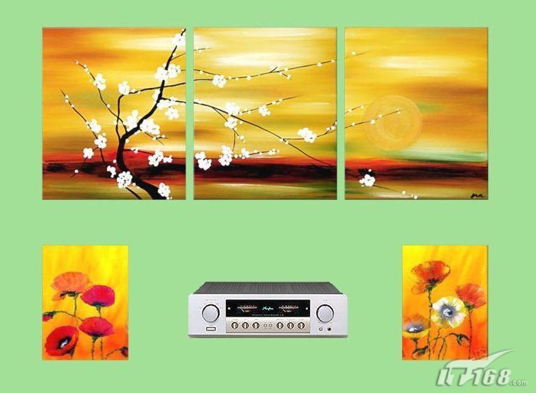 һ����������ʵ����ɫ���ܵ�ȫ��DVD