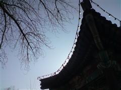 500������ŵ����GPS����������N82����(19)