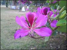 ֧��7�ŵ�ذ�������С����X3188����(5)