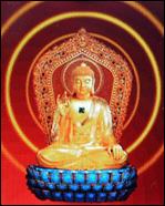 ���治�и�ɮ����24K������ֻ�����(3)