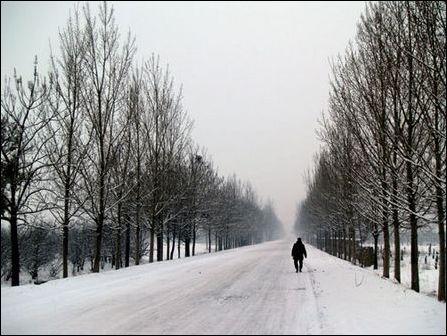 银装素裹的武汉挂个数码相机去拍雪景