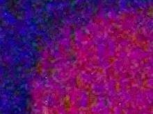 ������ʵ��ϵDC��ѡͨ��E1235�׷�����(11)