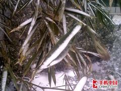 精致而且强大夏新WM6智能手机N810评测(9)