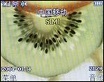 待机王最新力作飞利浦双卡单待9@9W评测(3)