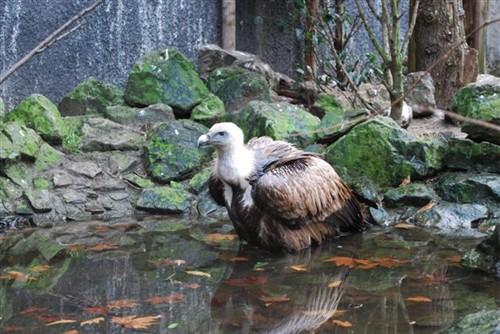 好不好您自己看尼康D60国外评测样片赏(2)