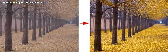 ��Photoshop�е�Labģʽ����������Ƭ(2)