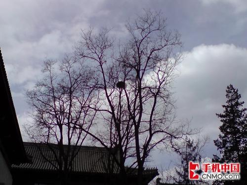 ȫ���׷�LG�콢��KE998����ר������(5)