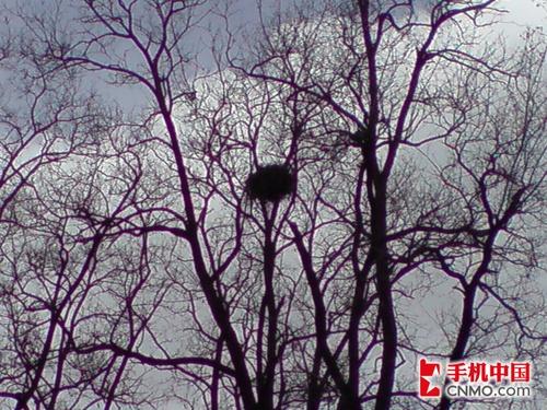 ȫ���׷�LG�콢��KE998����ר������(5)