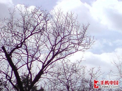 ȫ���׷�LG�콢��KE998����ר������(3)